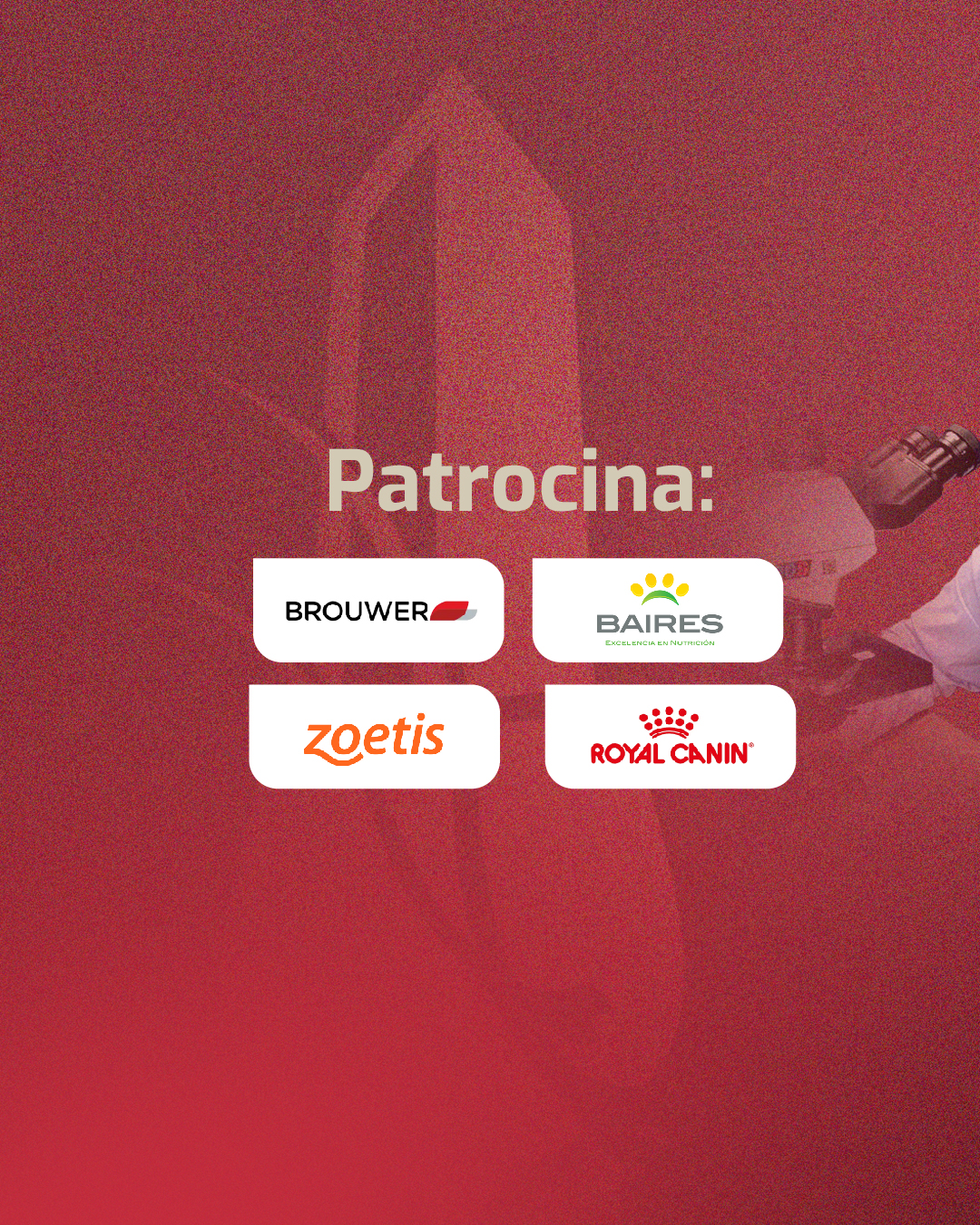 Sponsors del Congreso VetAllergy