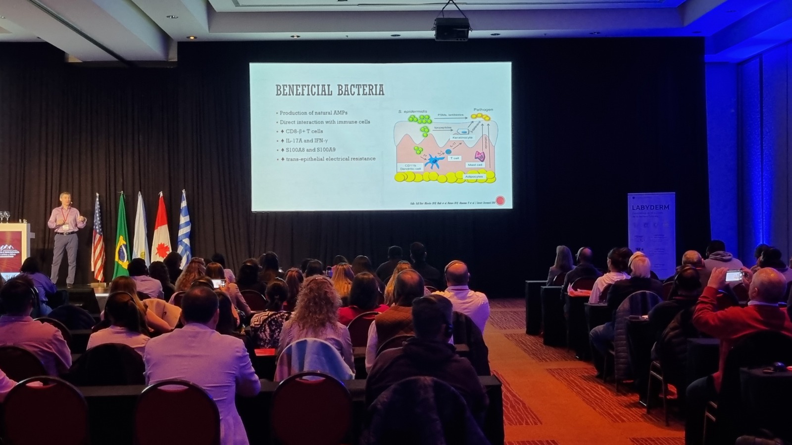Asistentes participando en congreso VetAllergy